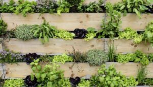 How Can I Build a Vertical Garden in a Small Space?