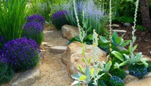 What Are the Best Tips for Designing a Water-Wise Garden?