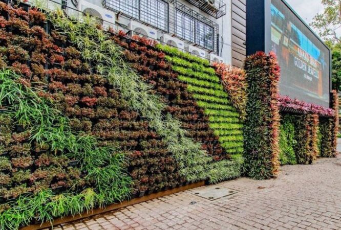 Vertical Garden 