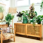 What Are the Best Indoor Plants for Home Transformation in 2024?