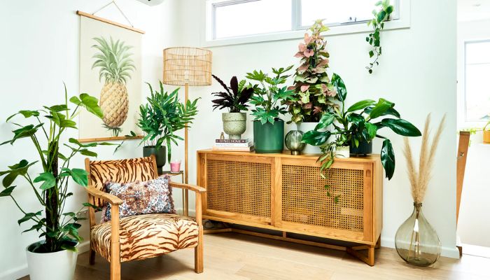 What Are the Best Indoor Plants for Home Transformation in 2024?