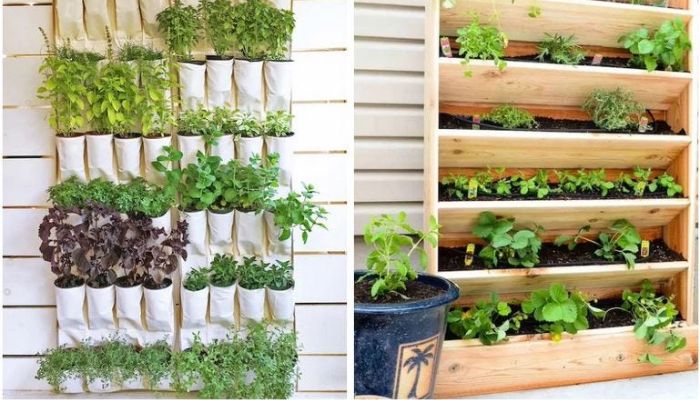 How Can I Build a Vertical Garden in a Small Space?