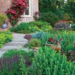 What Are the Best Tips for Designing a Water-Wise Garden?