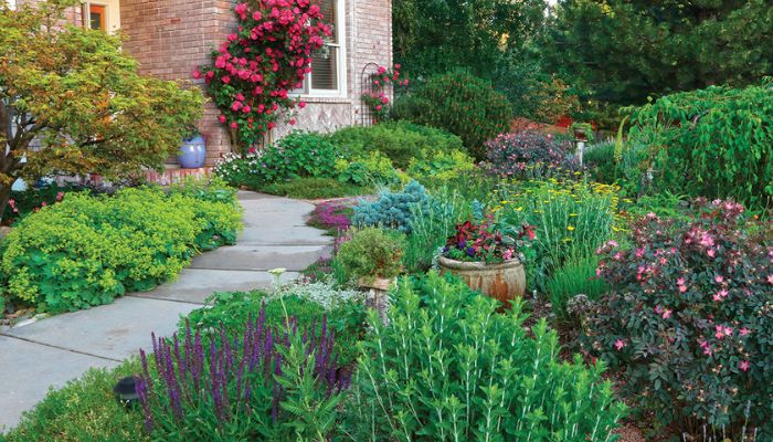 What Are the Best Tips for Designing a Water-Wise Garden?