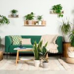 Which Houseplants Are Best for Brightening Up Your Home?