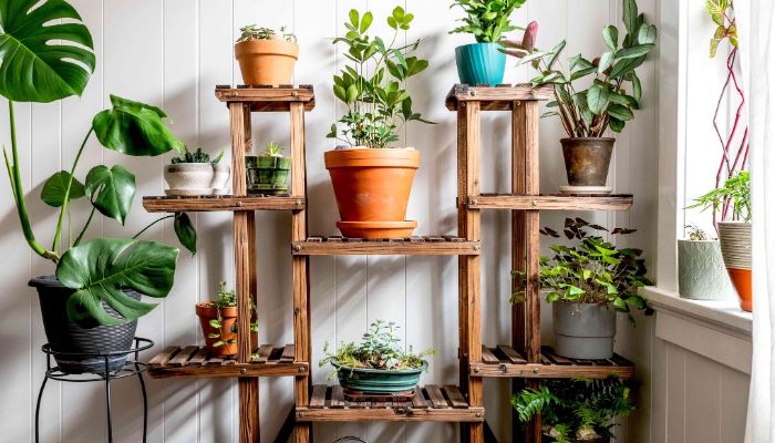 What Are Some Effortless Ideas for Low-Light Indoor Gardens?